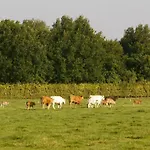 In Near Bemelerberg Reserve Bemelen