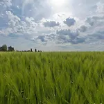 In Near Bemelerberg Reserve