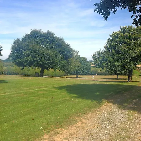 Vakantiehuis In Near Bemelerberg Reserve