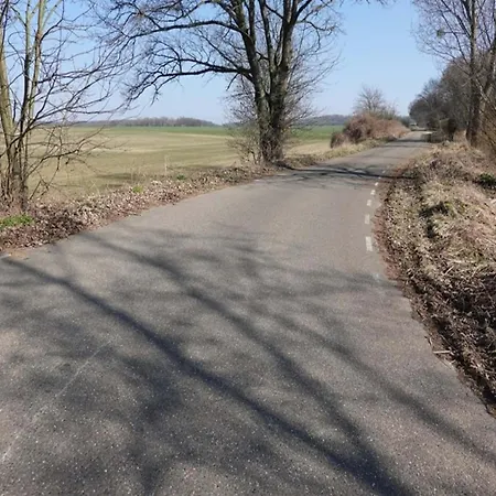 In Near Bemelerberg Reserve Vakantiehuis *