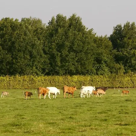 In Near Bemelerberg Reserve Bemelen