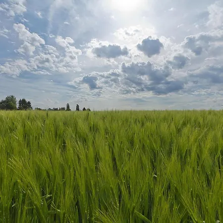 In Near Bemelerberg Reserve