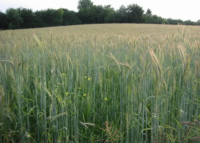 Ferienhaus In Near Bemelerberg Reserve