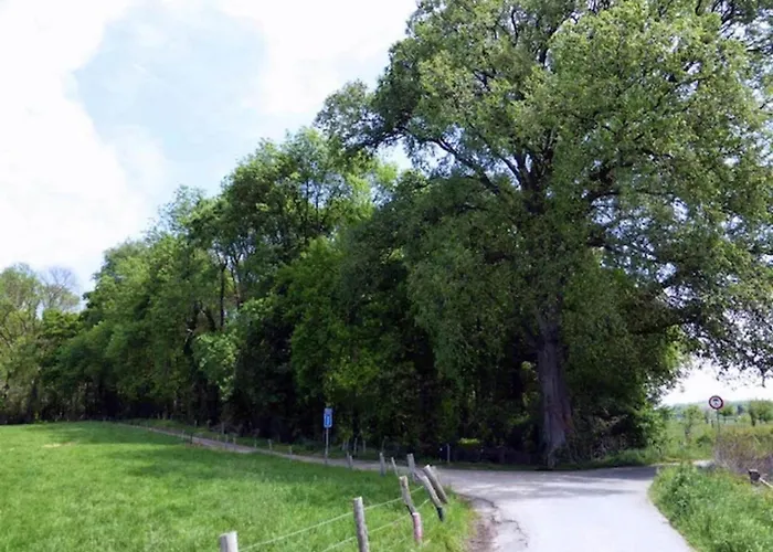 Ferienhaus In Near Bemelerberg Reserve Bemelen