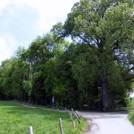 펜션 In Near Bemelerberg Reserve 베멜렌