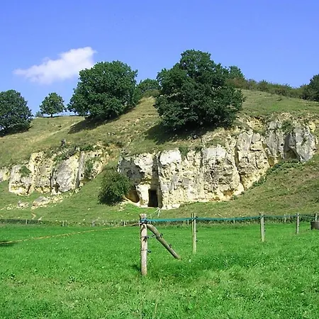 펜션 In Near Bemelerberg Reserve 베멜렌