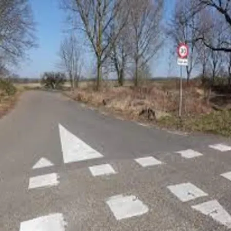 In Near Bemelerberg Reserve 베멜렌