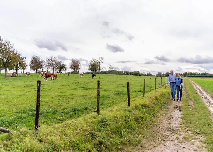 In Near Bemelerberg Reserve Holiday home *