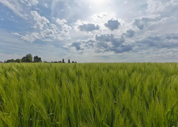 In Near Bemelerberg Reserve