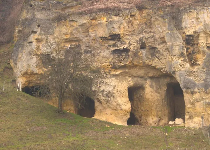 Holiday home In Near Bemelerberg Reserve